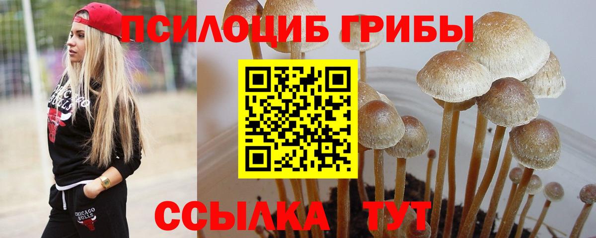 Псилоцибиновые грибы прущие грибы  как найти   Вход с VPN  Арсеньев  Псилоцибиновые грибы прущие грибы 